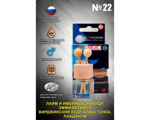 Ароматизатор в машину, парфюм для дома и офиса ДАВ №22A (мужской) 7мл 