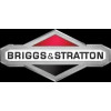 Briggs & Stratton