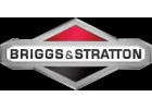 Briggs & Stratton